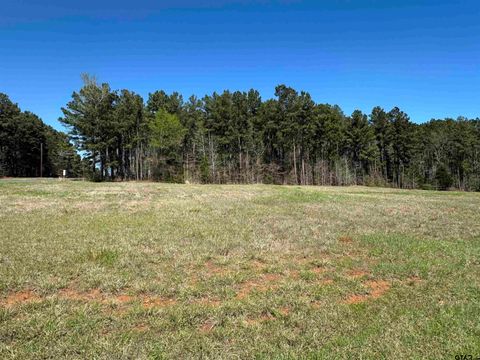 TBD 5.306 Acres Cherokee Cove Dr. Jacksonville TX 75766