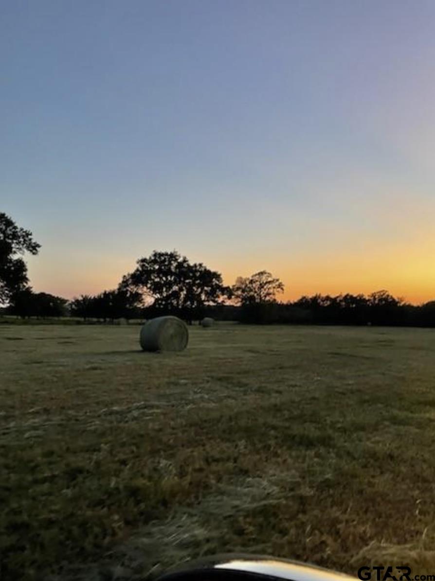 61.32 Acres County Road 3417