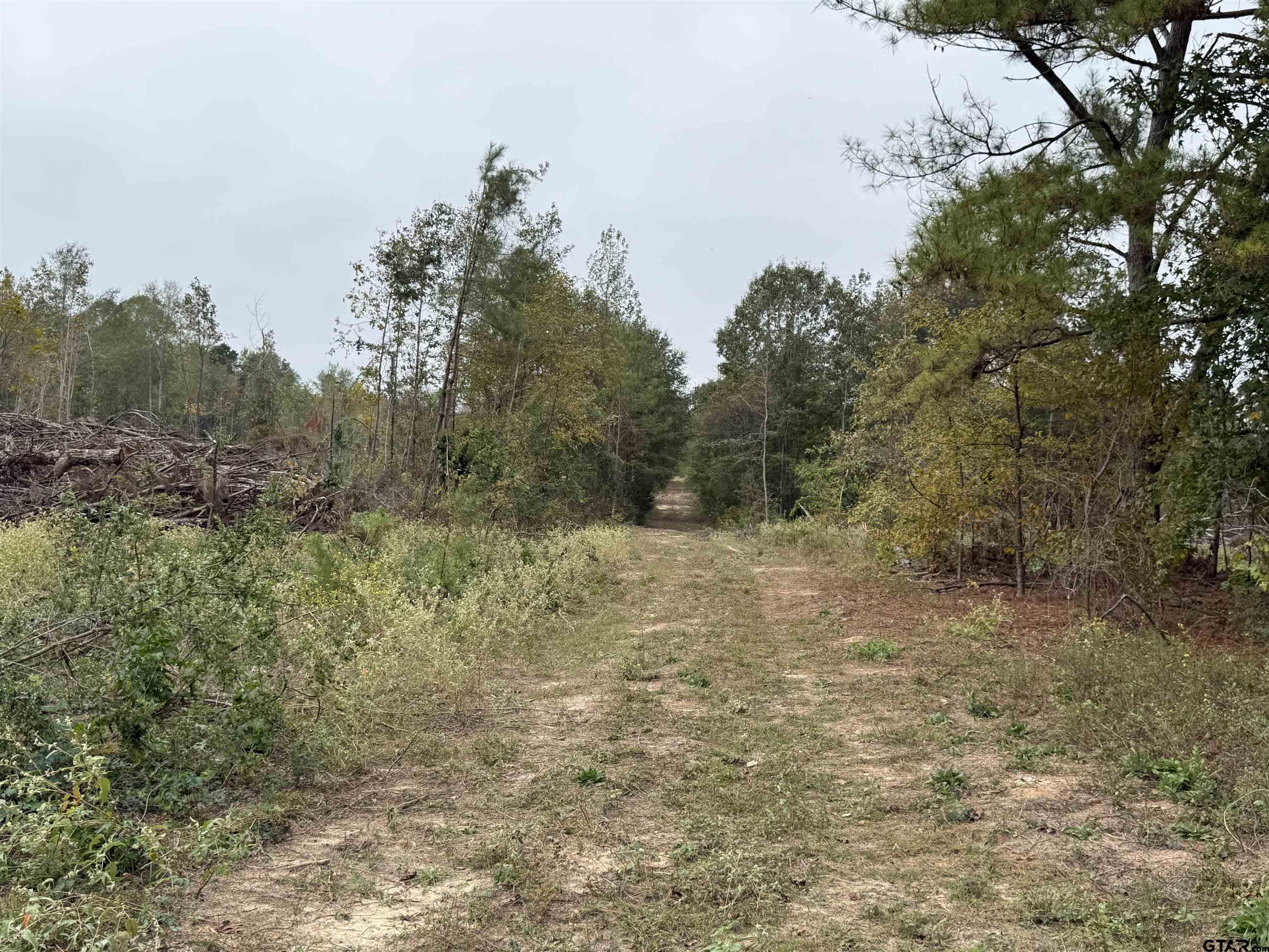 TBD CR 314 16.45 acres