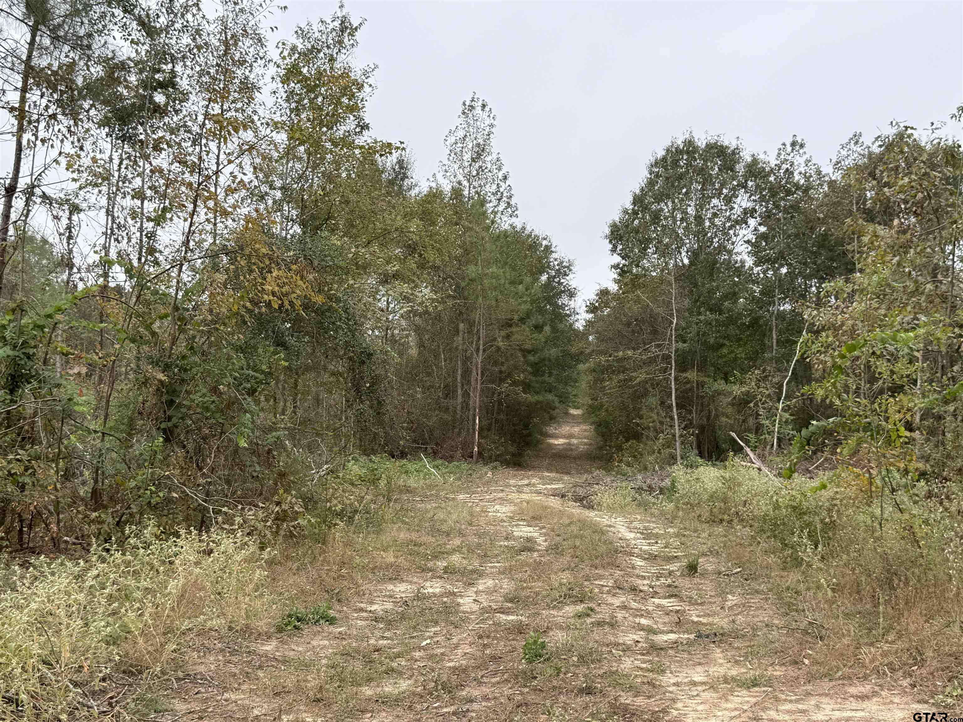 TBD CR 314 16.45 acres