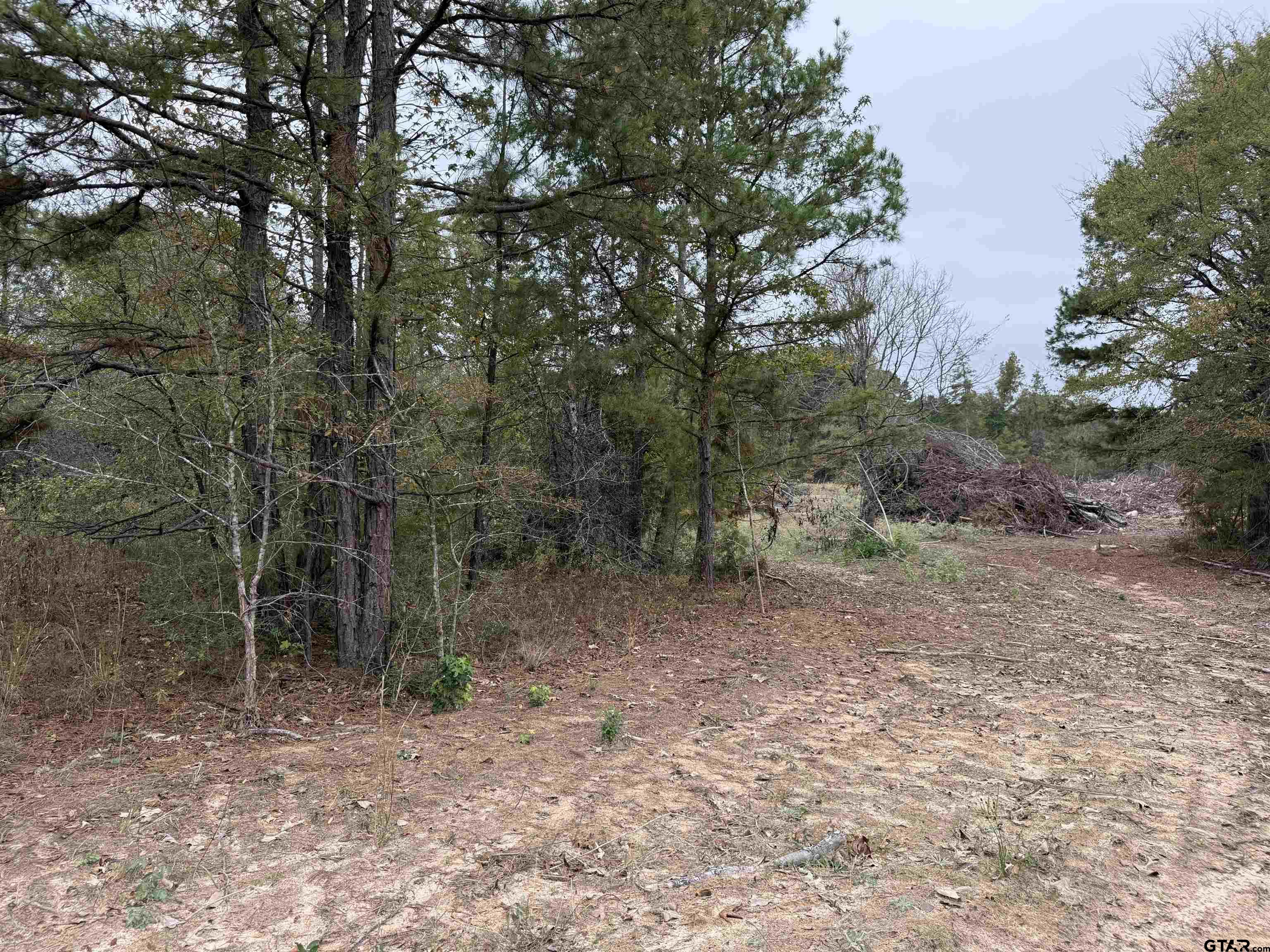 TBD CR 314 16.45 acres