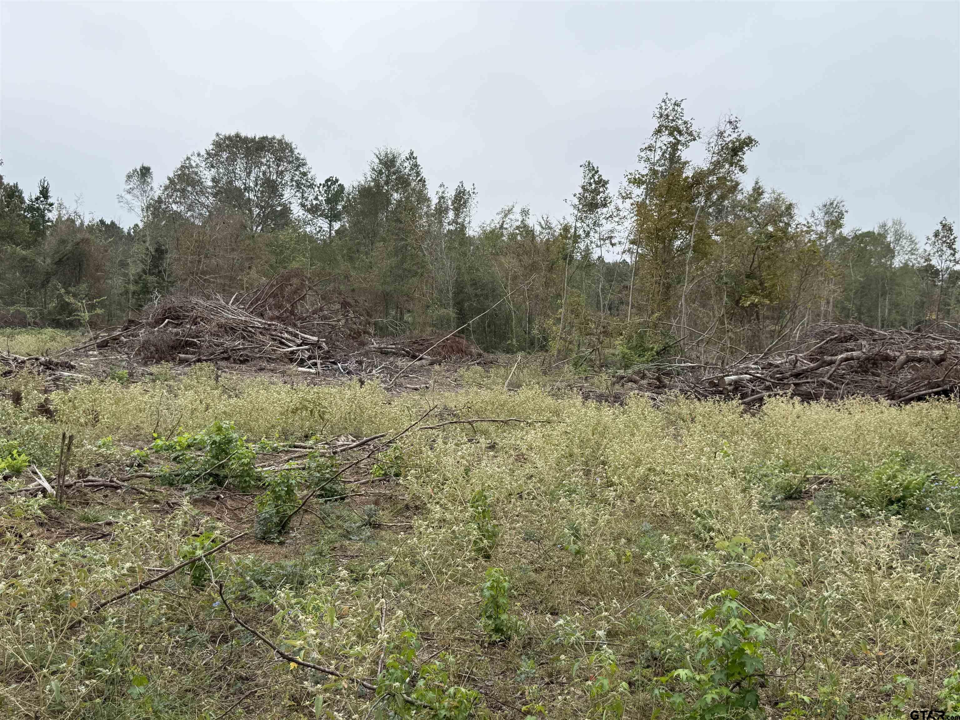 TBD CR 314 16.45 acres