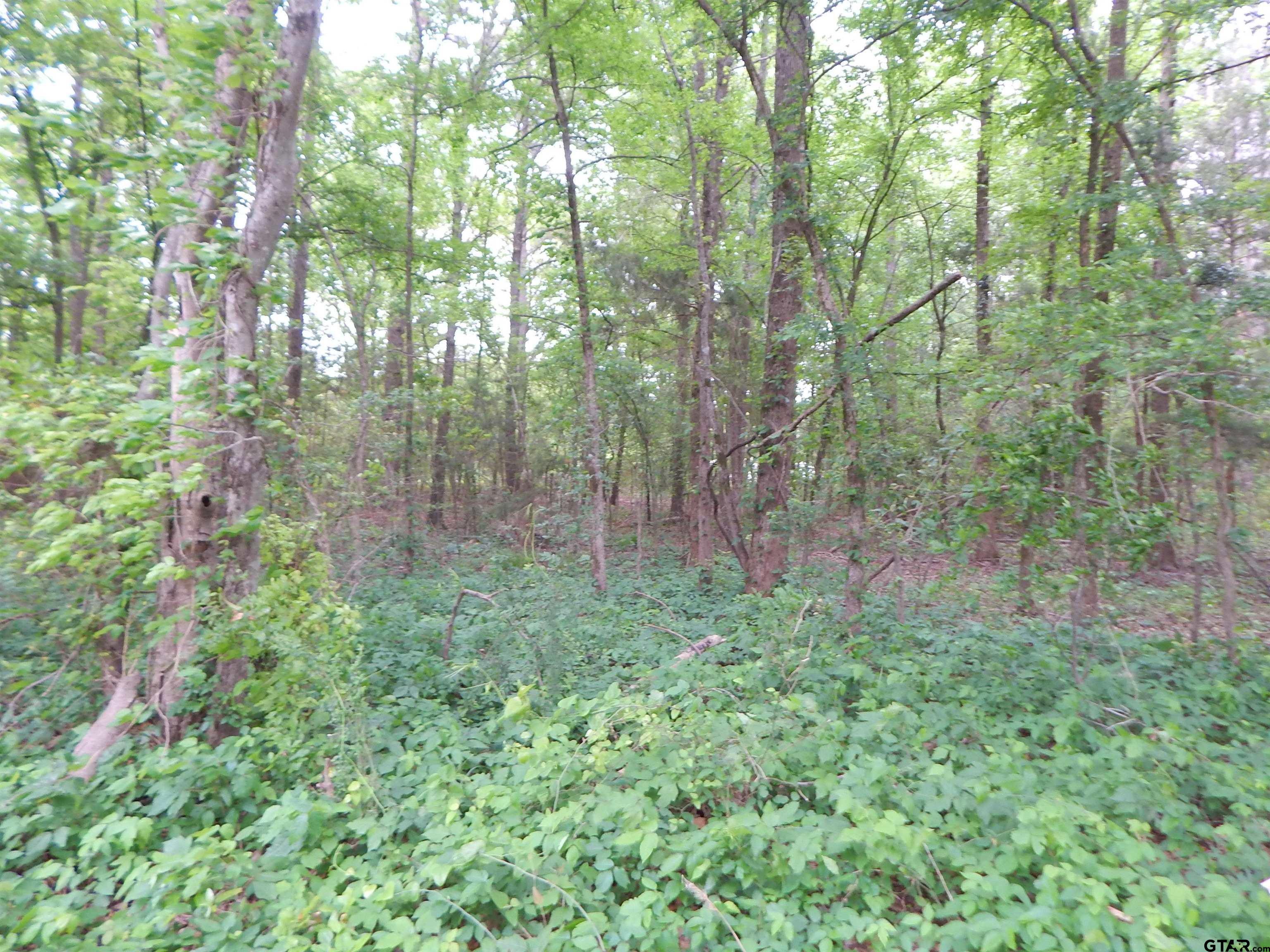 TBD 3.07 ACRE WOODCHUCK RD