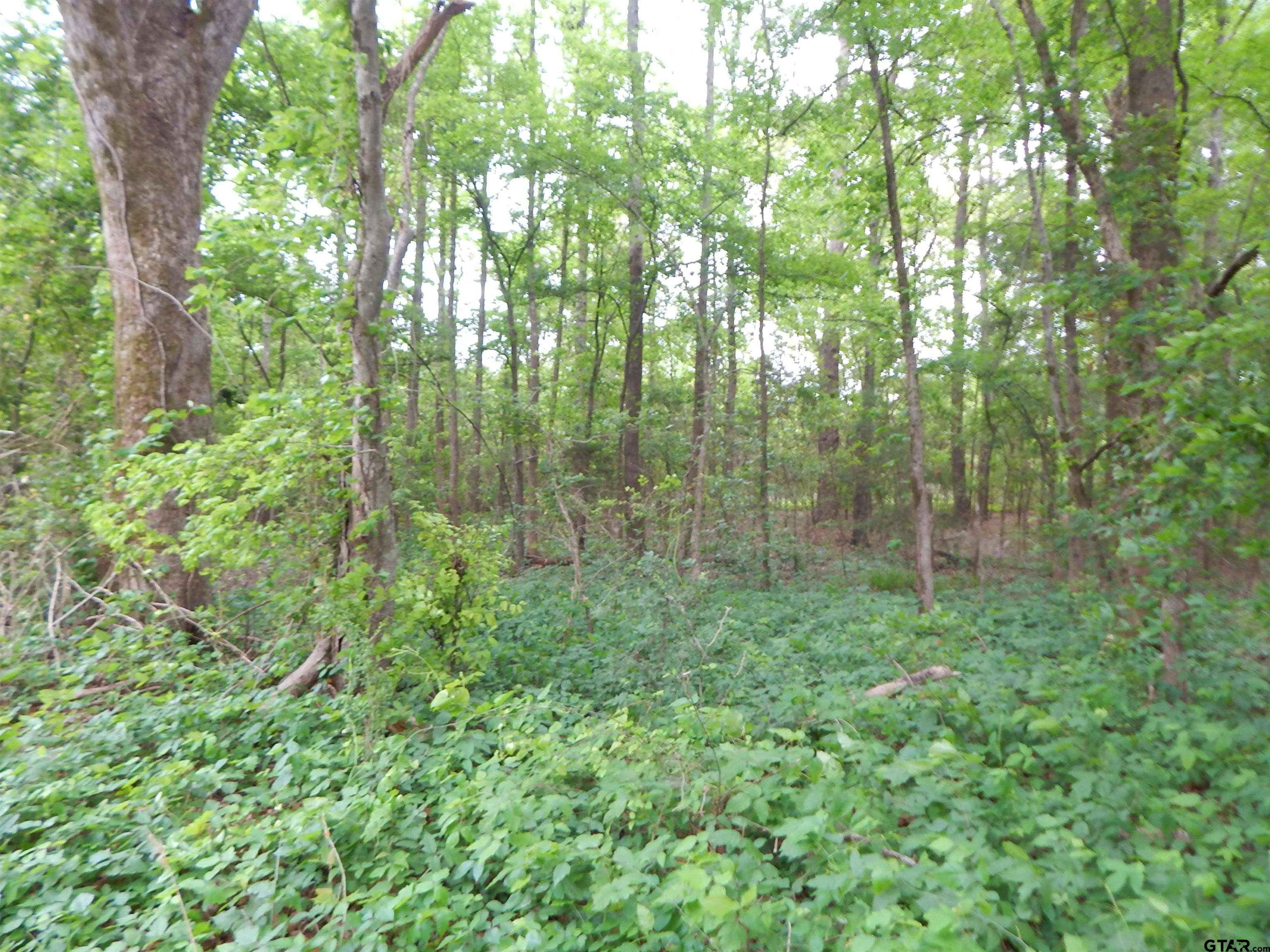 TBD 3.07 ACRE WOODCHUCK RD