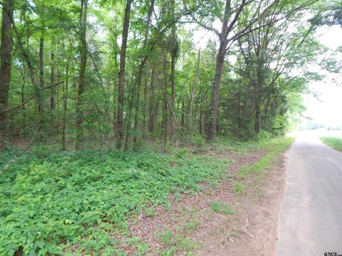 TBD 3.07 ACRE WOODCHUCK RD Pittsburg TX 75686