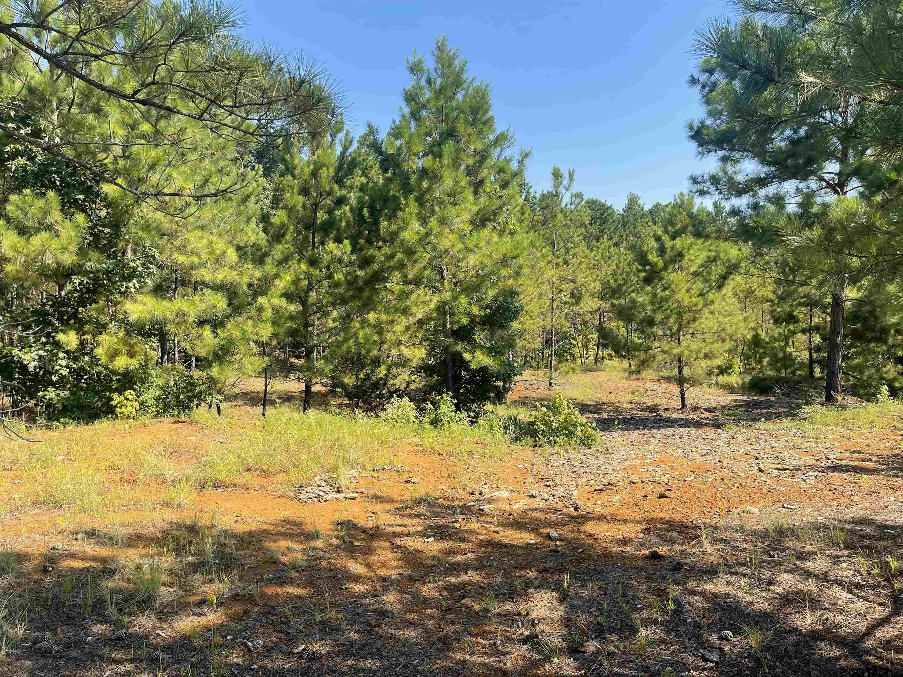 TBD County Road 1150