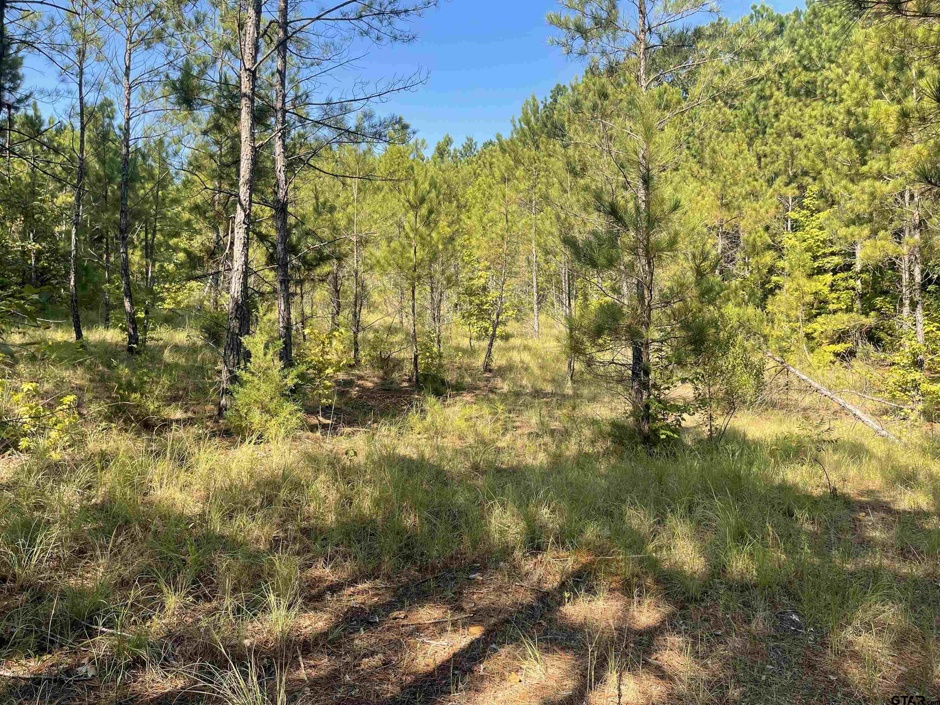 TBD County Road 1150