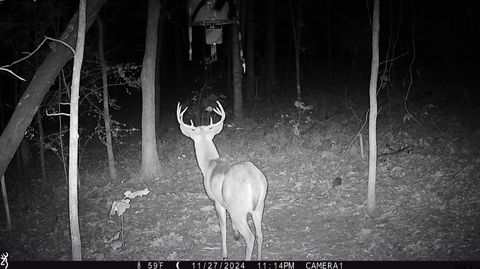 TBD County Road 1150 Tyler TX 75704