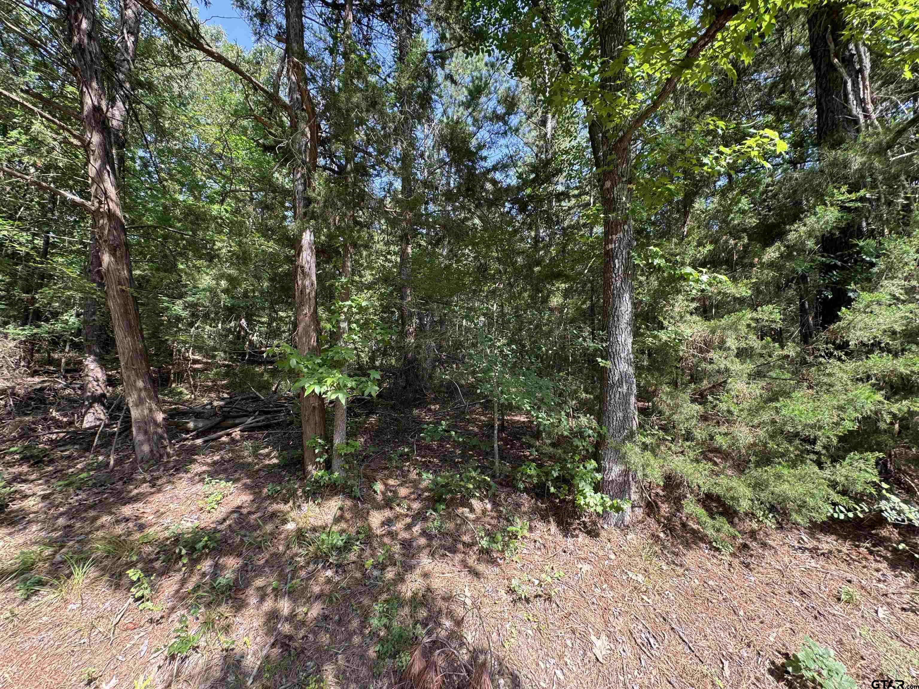 Lot 20 S Whispiering Pine Trail