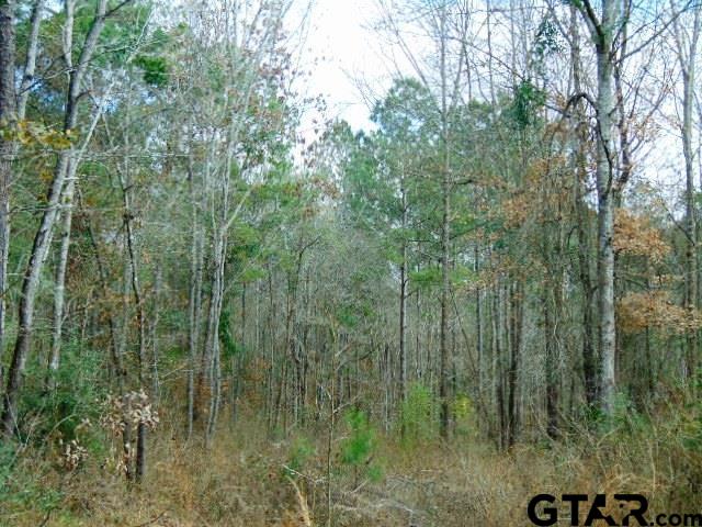 TBD Highway 79 TRact 3