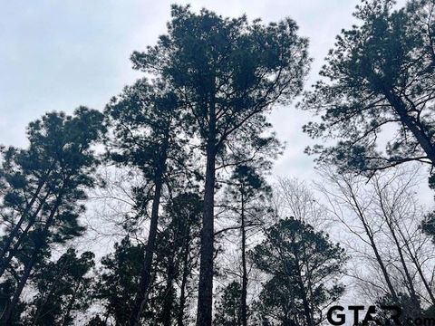 TBD Highway 79 TRact 3 New Summerfield TX 75780