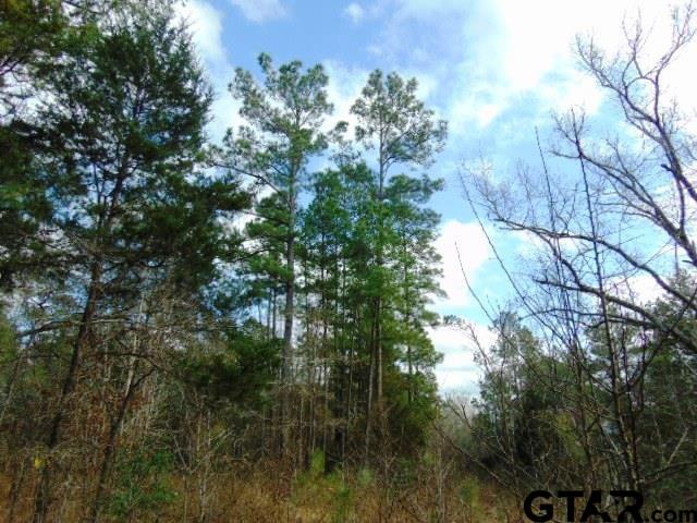 TBD Highway 79 TRact 3