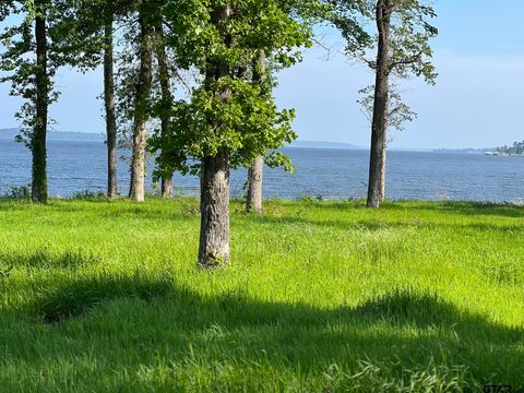 20621 Wycliff Chandler TX 75758