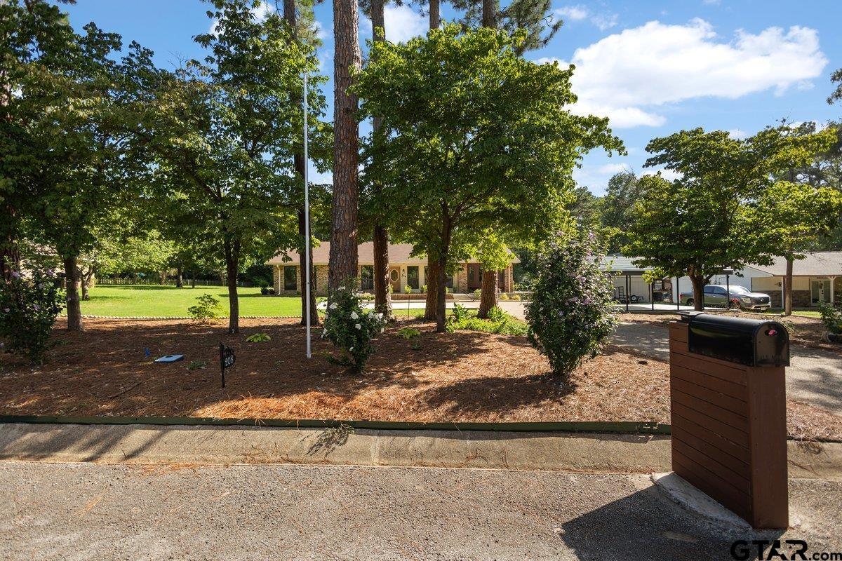 208 Treetop Ln