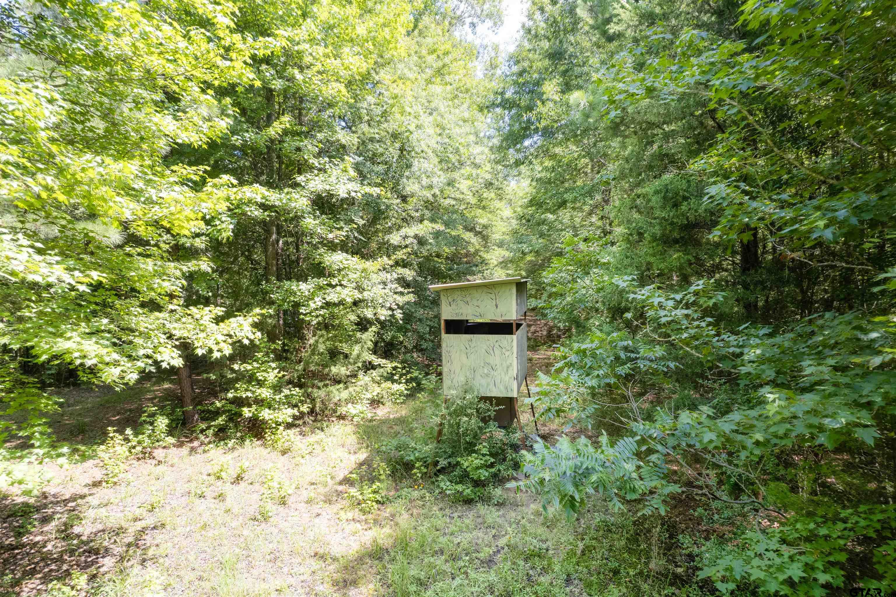 575 County Road 1920