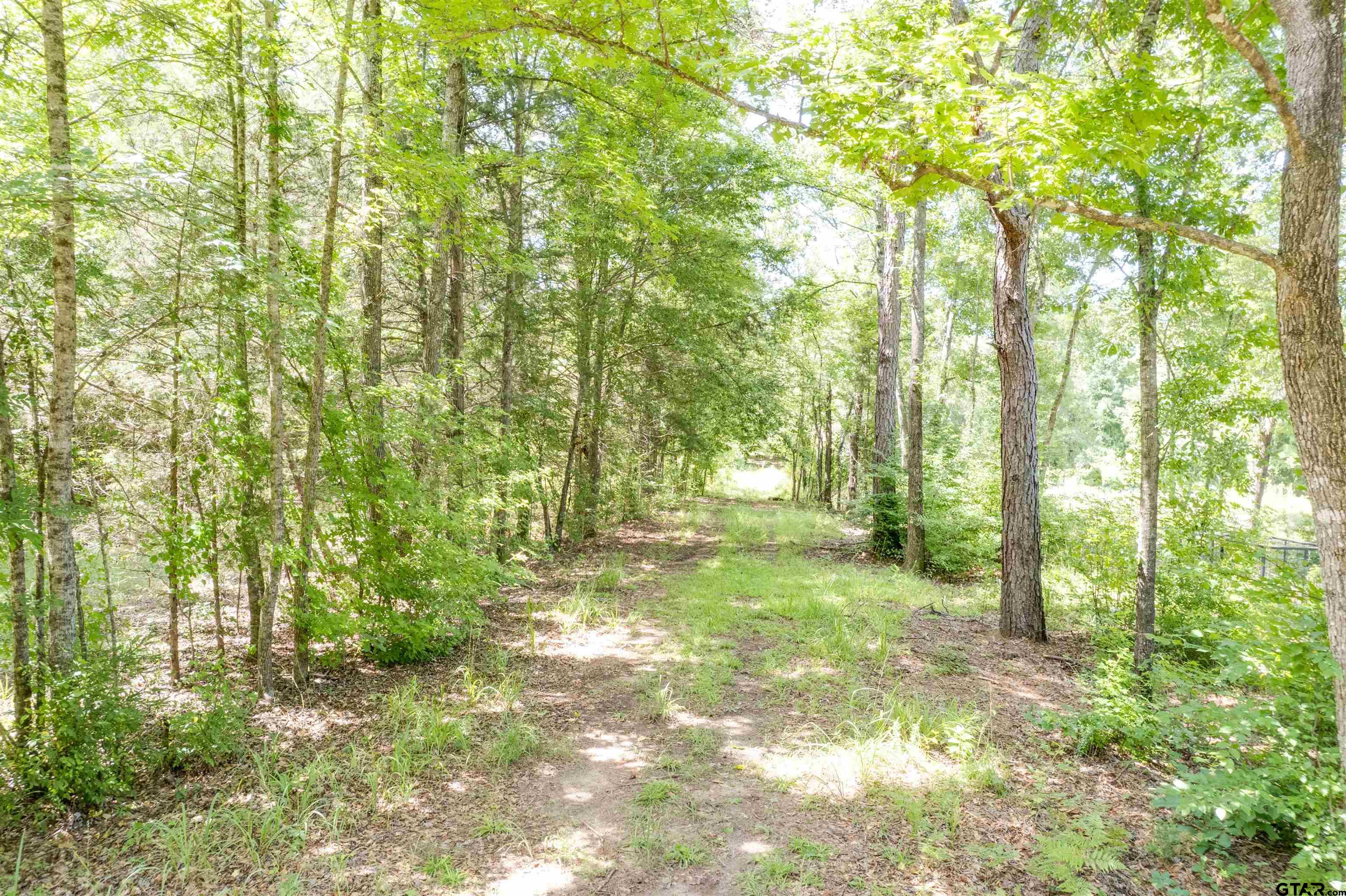 575 County Road 1920