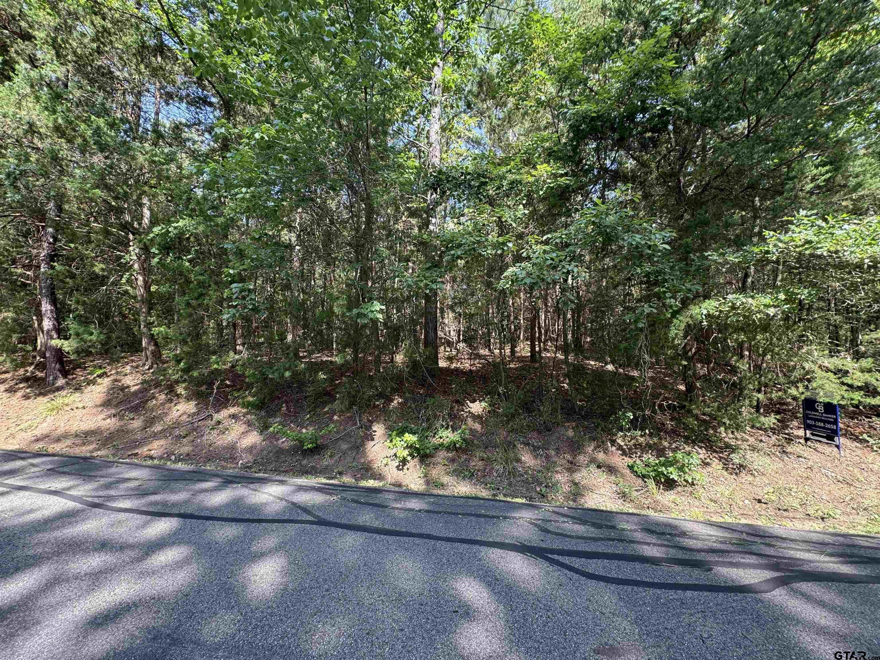 Lot 19 S Whispering Pine Trail