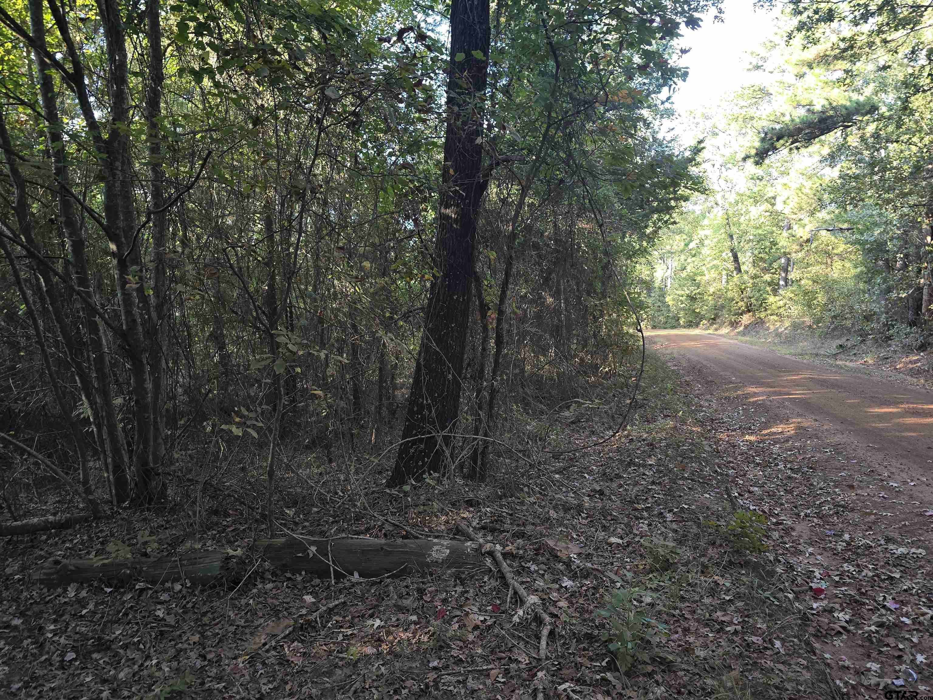 TBD CR 2864/Off Road