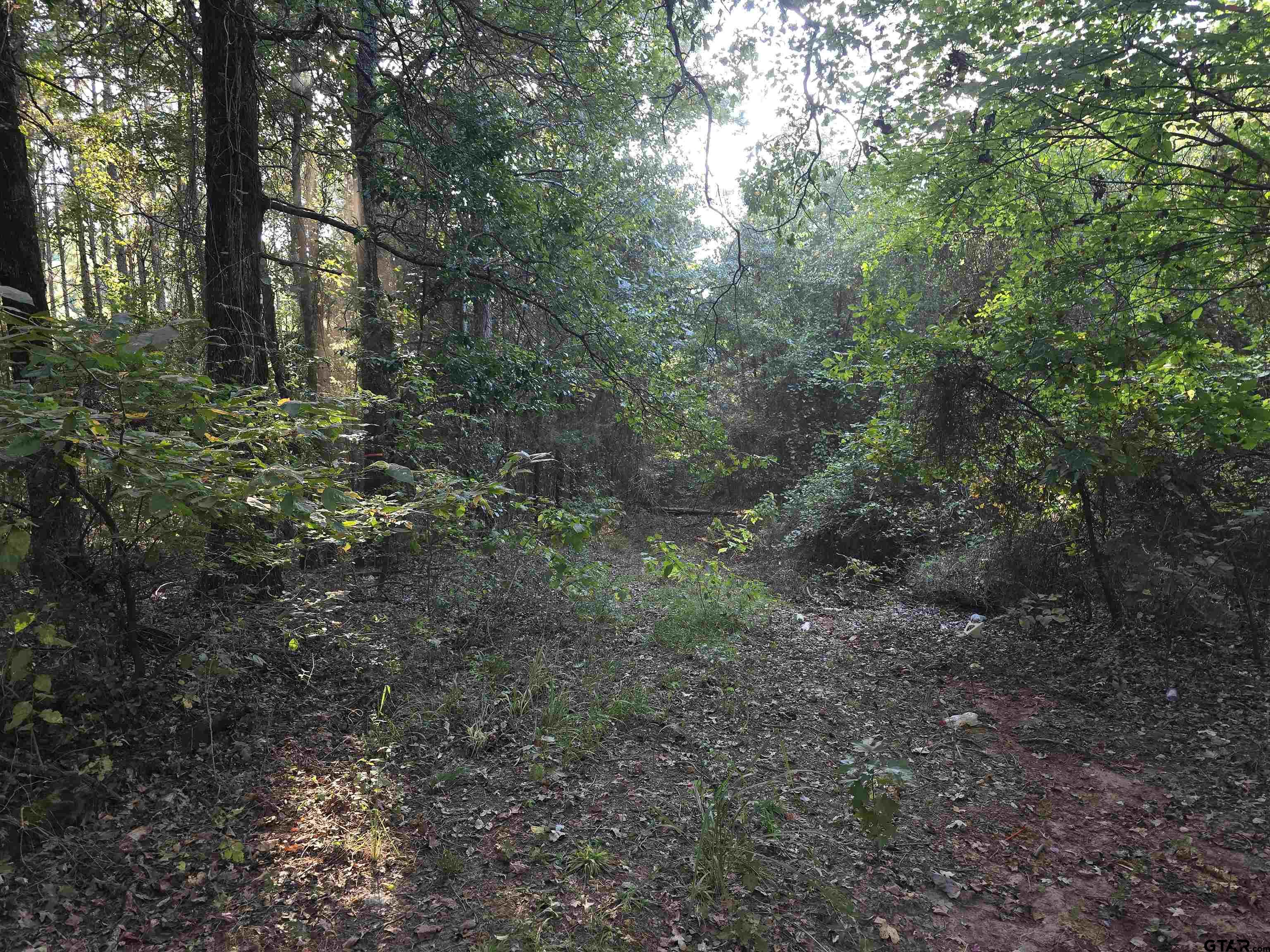 TBD CR 2864/Off Road