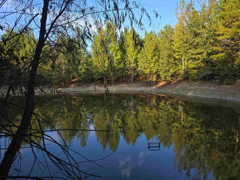 TBD CR 2864/Off Road Hughes Springs TX 75656