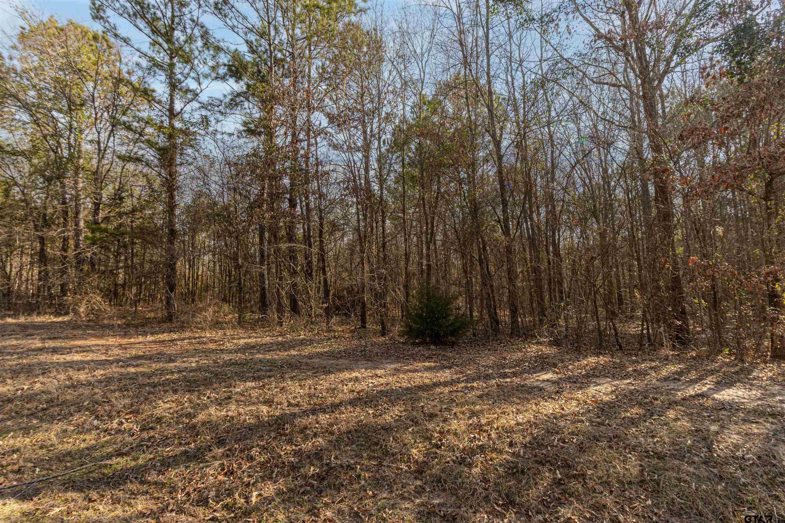 16682 County Road 367