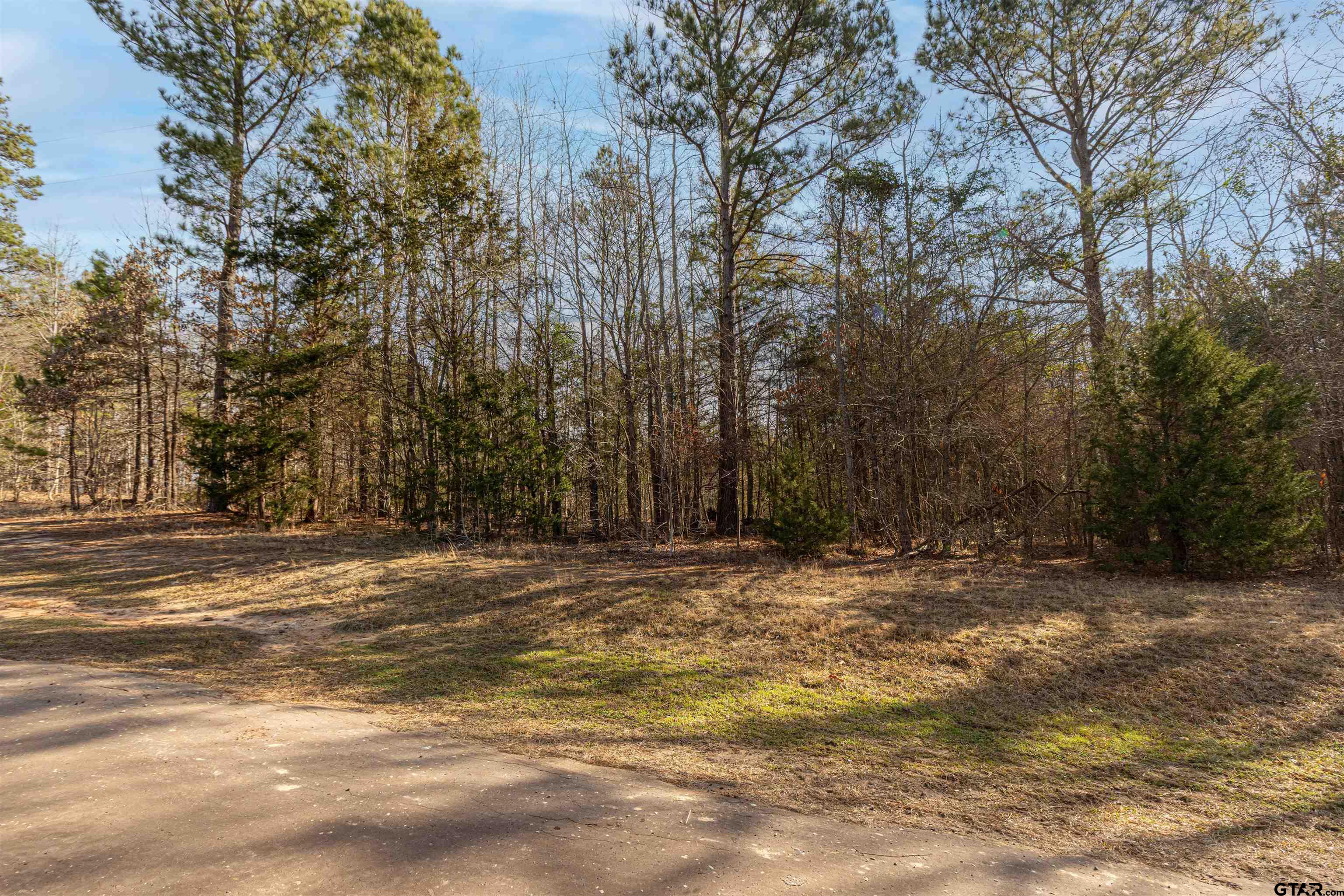 16682 County Road 367