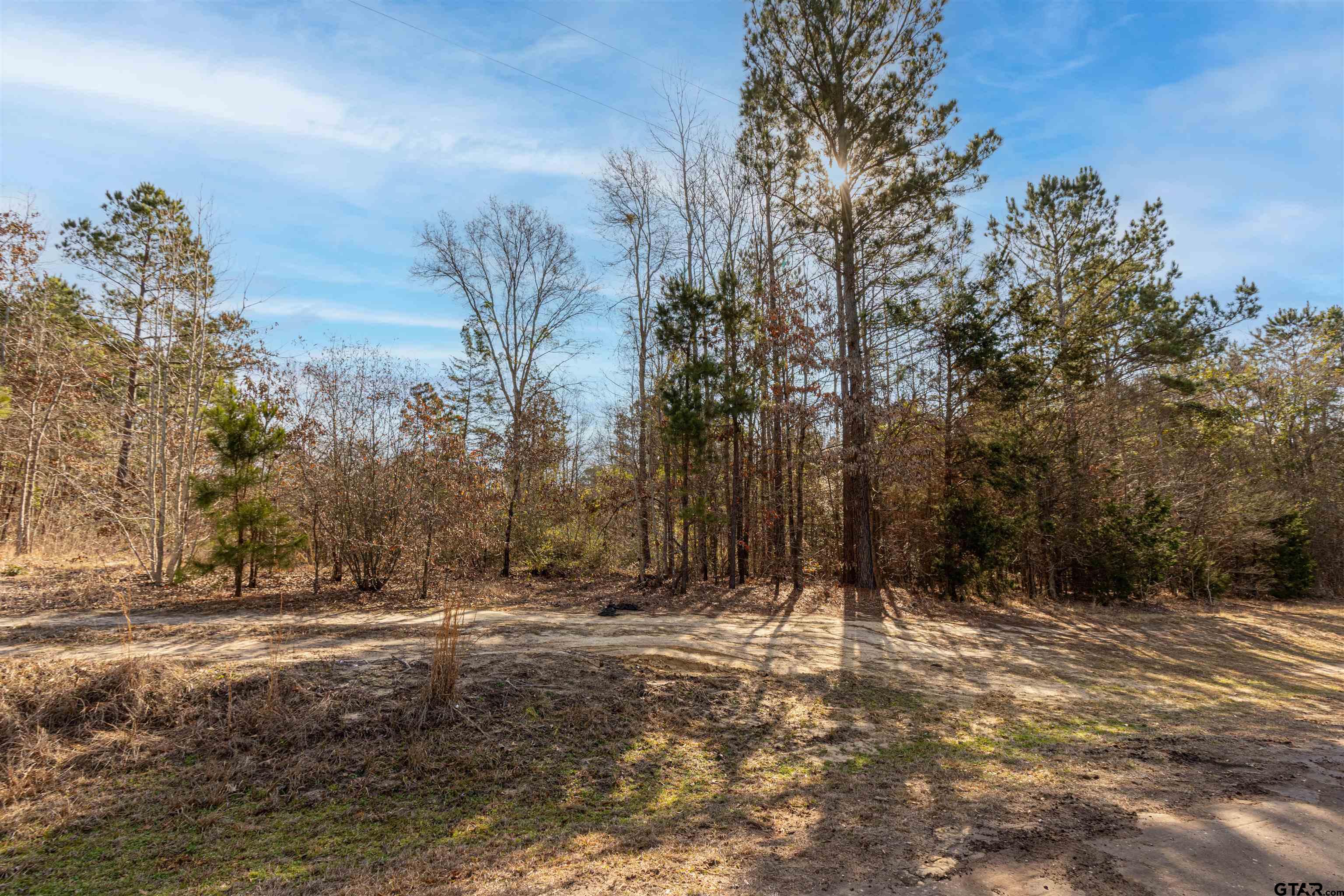 16682 County Road 367