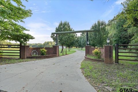 11746 CR 352 E Henderson TX 75654