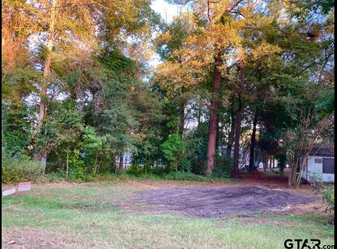 262 E Walnut Trail Murchison TX 75778