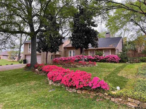 103 Williamsburg Lane Bullard TX 75757