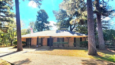 14141 CR 1237 Tyler TX 75703