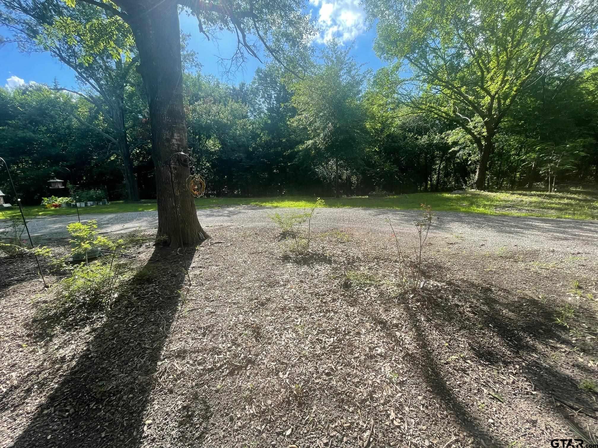 259 County Road 1676
