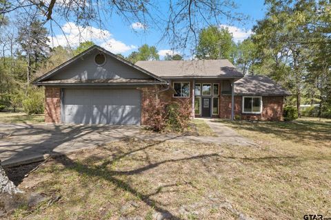 366 County Road 1740 Mt Pleasant TX 75455