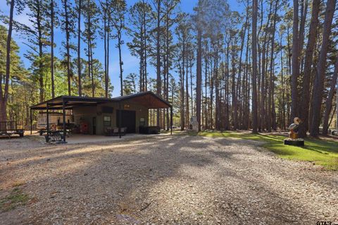 429 Wildwood Trl Mt Vernon TX 75457