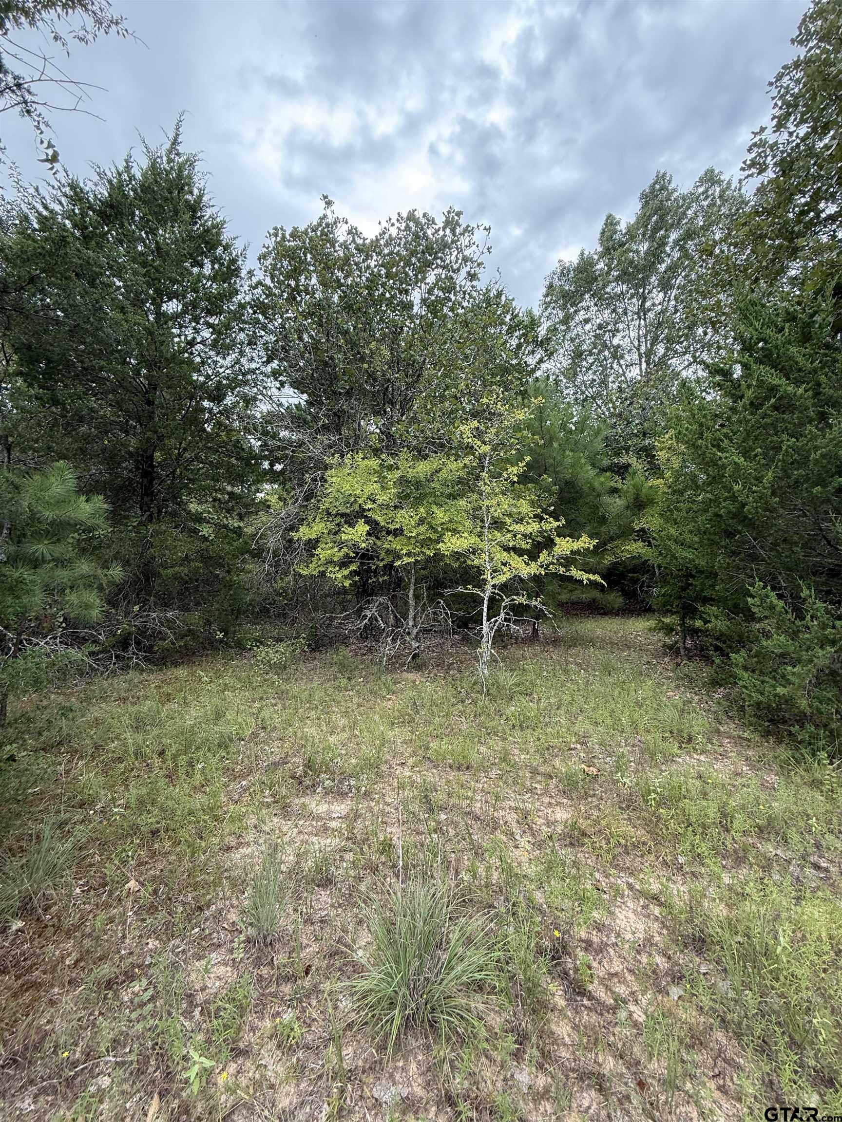 TBD County Road 4620