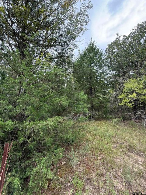 TBD County Road 4620 Troup TX 75789