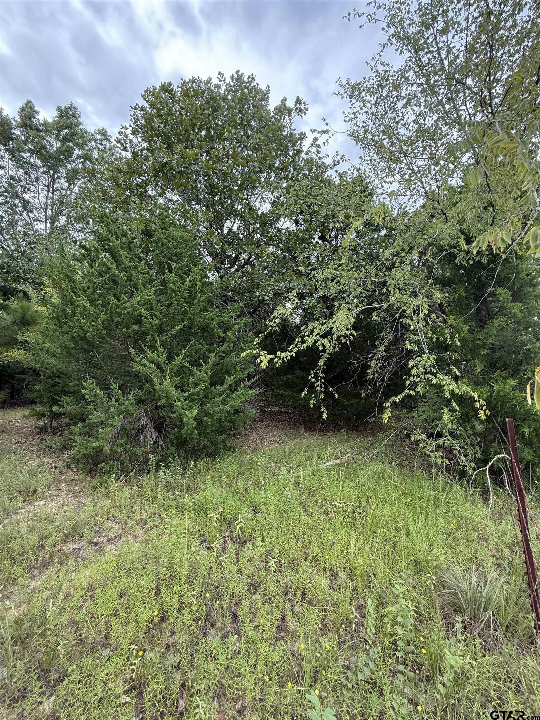 TBD County Road 4620