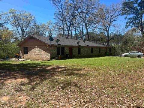 1374 Bentley St. Diana TX 75640