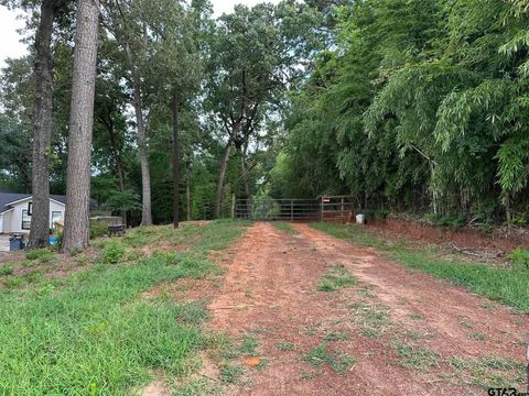 10478 C R 2167 Whitehouse TX 75791