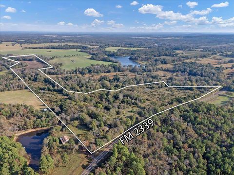 2640 Fm 2339 Ben Wheeler TX 75754