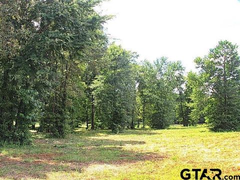 835 Stone Chimney Rd. (Lot 6 CR 3608) Bullard TX 75757