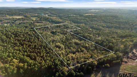 1448 CR 3310 Jacksonville TX 75766