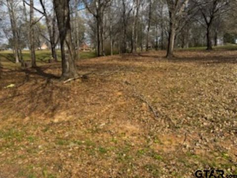 TBD CR 1407 Lot 3 Jacksonville TX 75766