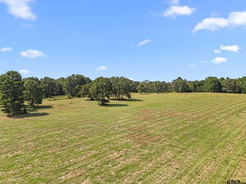 TBD CR 2116 Troup TX 75789