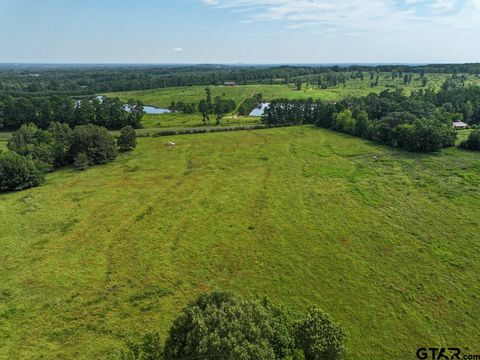 03 FM 2867 Henderson TX 75654