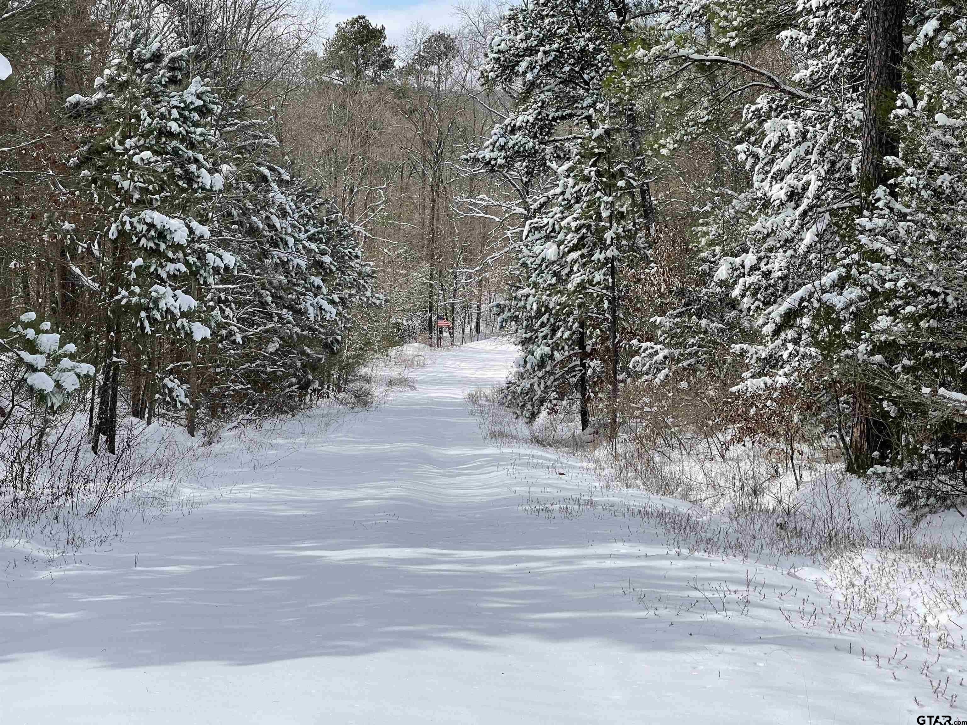2409 COUNTY ROAD 2303