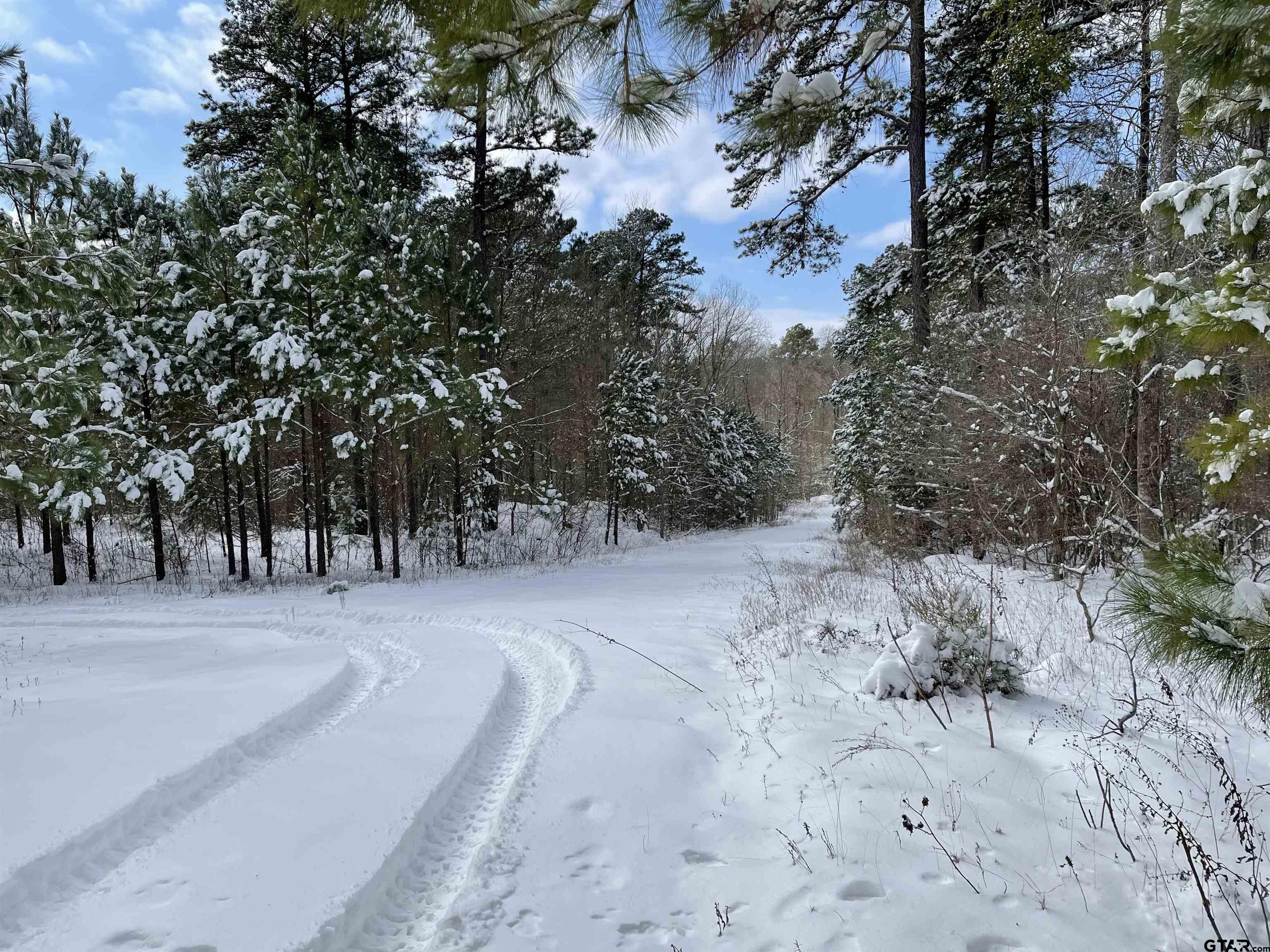 2409 COUNTY ROAD 2303