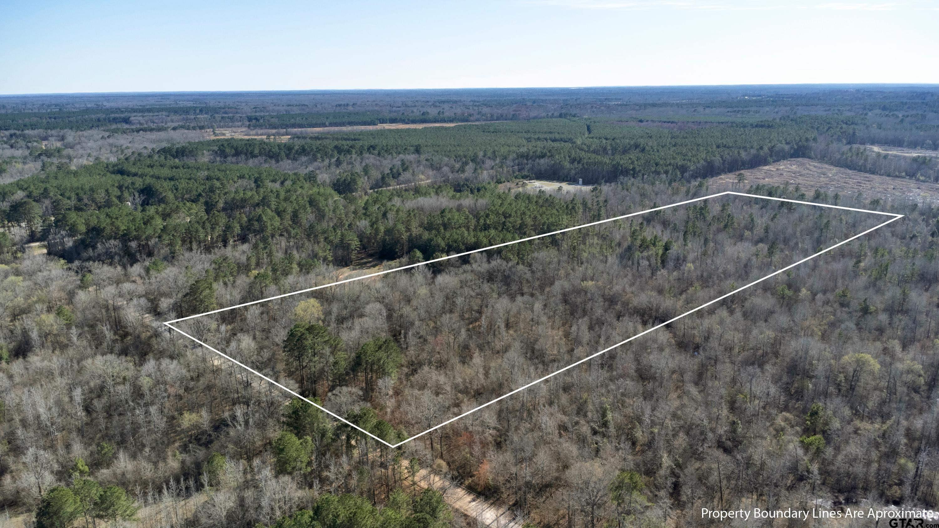 TR5 18.75 Acres County Rd