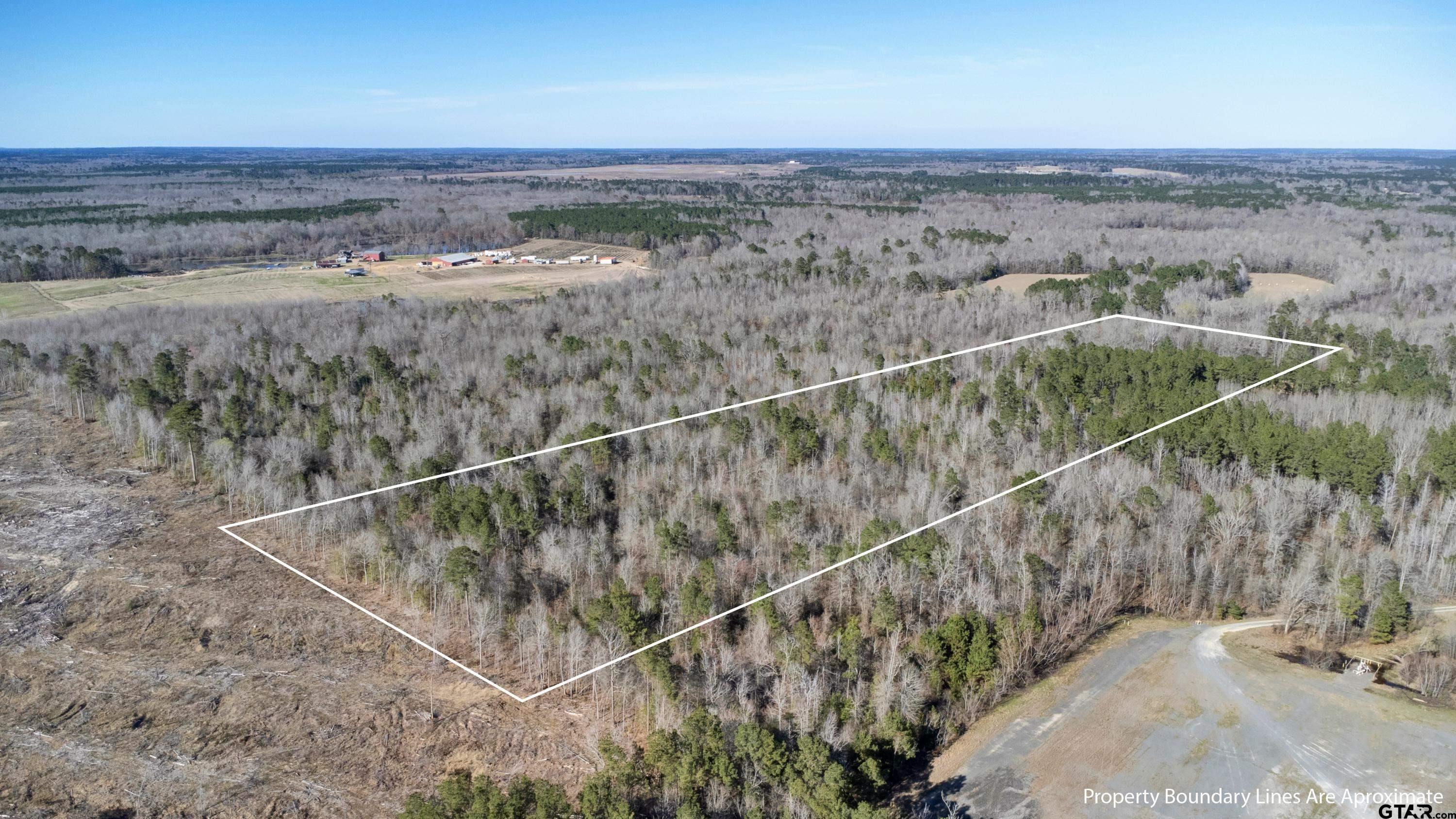 TR5 18.75 Acres County Rd