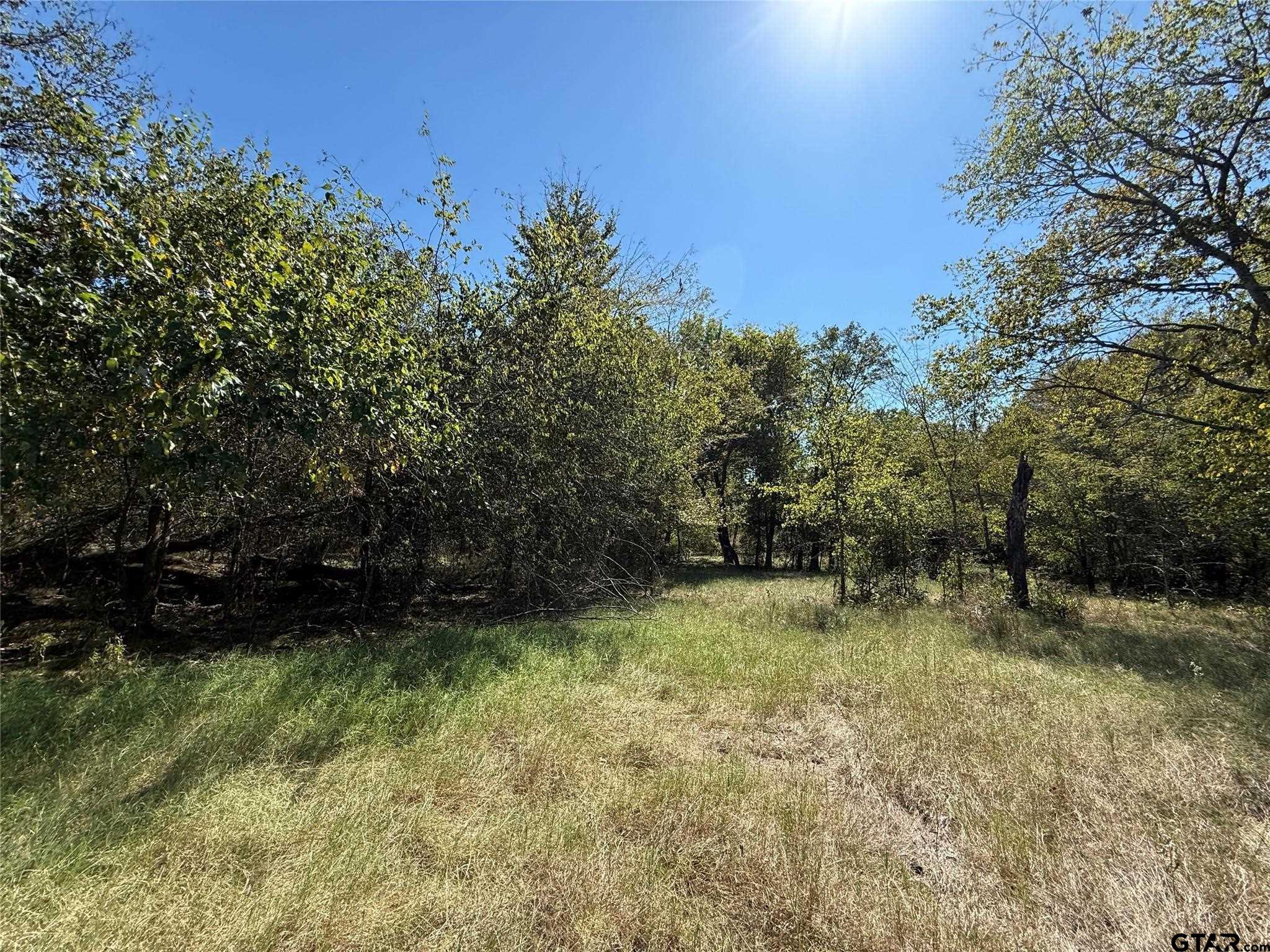 108 Acres County Road 3544